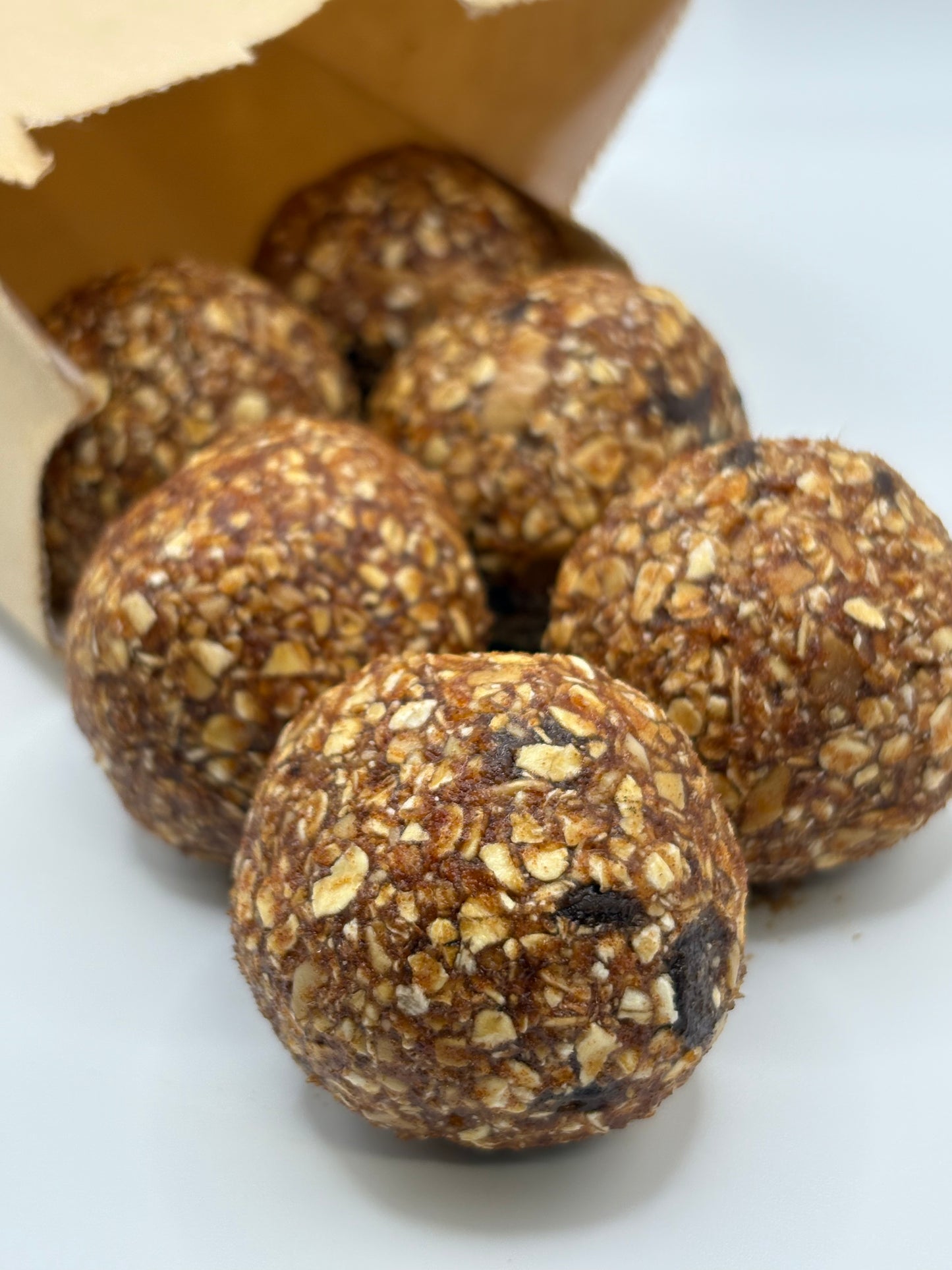 Oatmeal Bites (5)